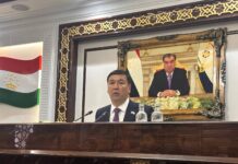Июньский сель повредил девять домов в Худжанде