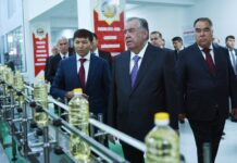 В Согде открыли новые производства растительного масла и муки