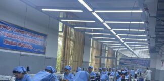 Согд — драйвер экономического развития Таджикистана